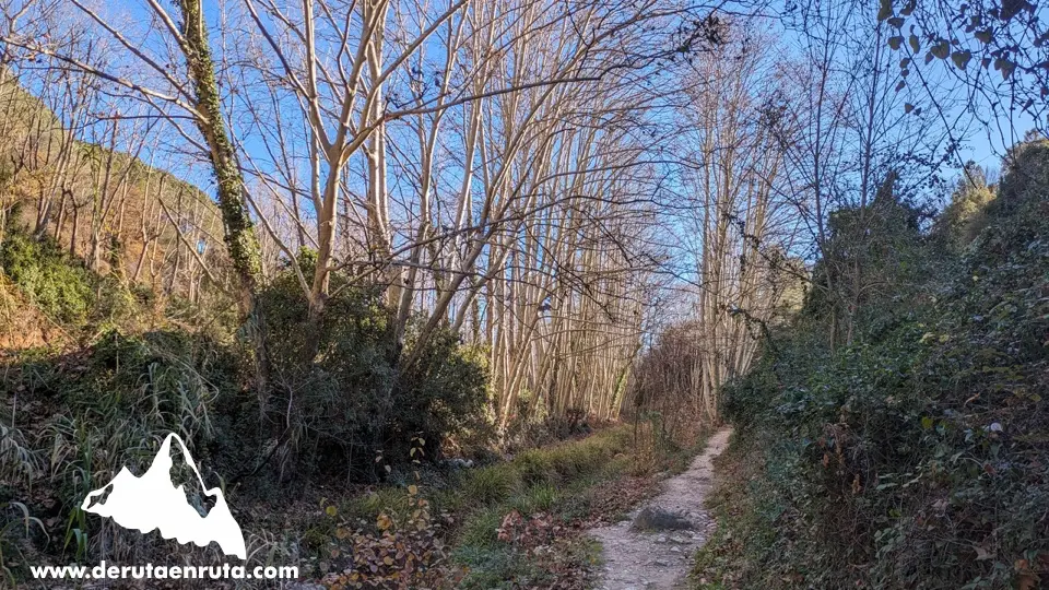 Inici del camí de tornada per la riera de Pontons