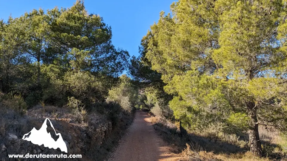 Agafem el camí de terra a mà dreta