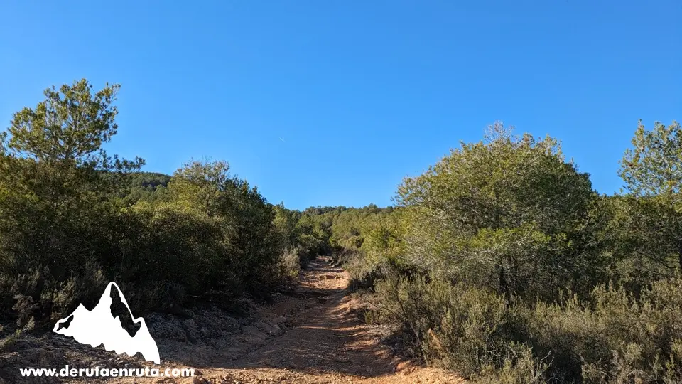 Camí de pujada