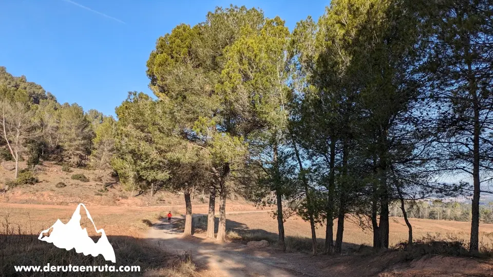 Dejamos la pista asfaltada en la curva