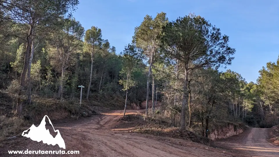 Inicio del camino de subida