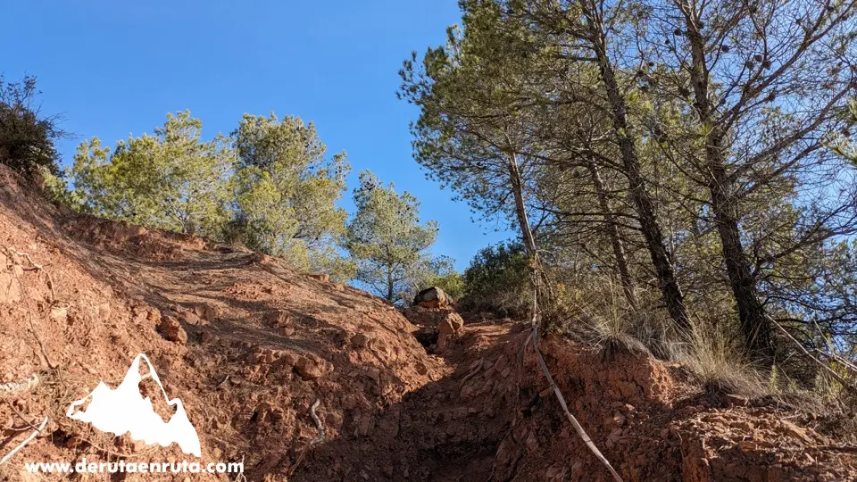 Sendero hacia la cima al margen de la pista