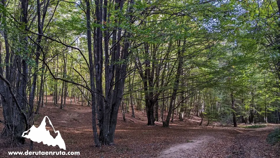 Entrada a la fageda
